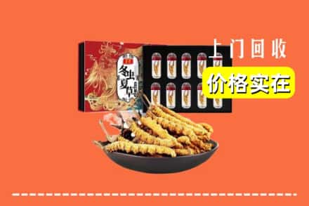 乌海海南区回收冬虫夏草